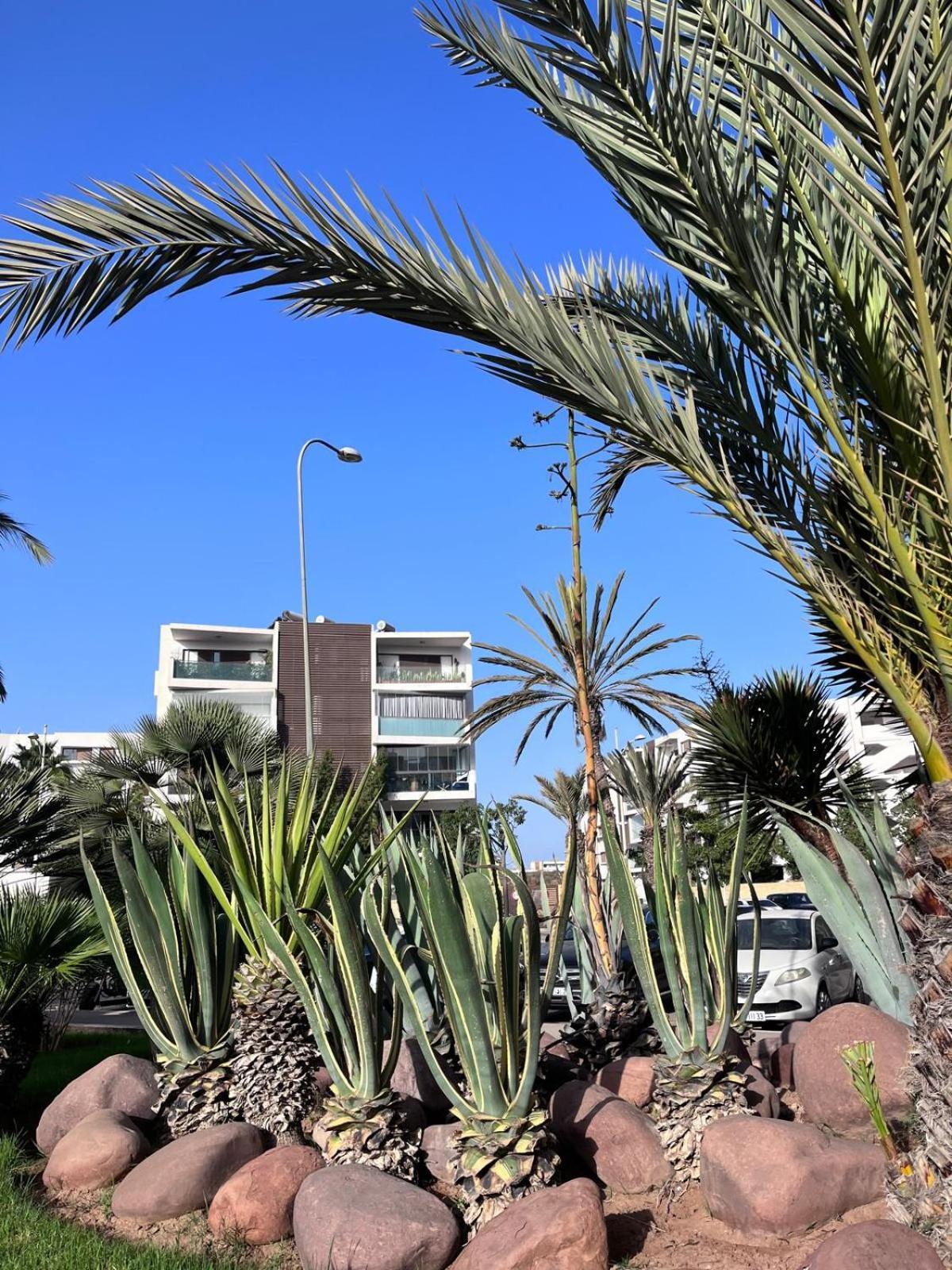 Appartement De Haut Standing En Residence Agadir Ngoại thất bức ảnh